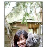 <b>코알라</b> 남상미, 진짜 <b>코알라</b>와 함께