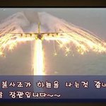 불사조의 비상