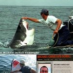 "백상<b>아리</b>는 내 친구" ‘상어 쓰다듬는 남자’ 인터넷 화제