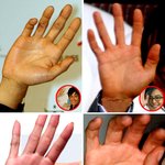 연예인들의 손금 어떨까?