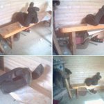 16년동안 자면서 수련하신 <b>달</b>인 김꺾기<b>씨</b>