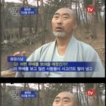 세계 <b>최강</b>의 백오동 나무 기억하세요?