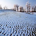 눈 덮힌 <b>사막</b>을 본 적 있나요?