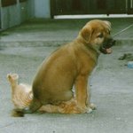 <b>처절</b>한 응징