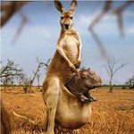 <b>혹독</b>한 불륜의 댓가는?