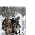 영화의 한장면 <b>썰매</b>타는 노르웨이 왕족들!! 인형같은 공주~