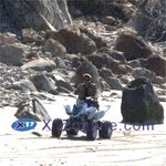 <b>해변</b>에서 atv 타고 있는 브래드 안젤리나~ 커플