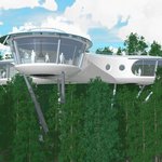 세계의 <b>나무</b> 위 집들, 트리 하우스