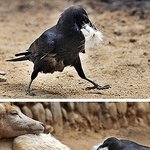 어라? 점점 <b>시원</b>해지는 이 느낌은..?
