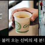 짜증님 강림하시다.