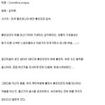 완벽 동화되는 기생충 시모토아 <b>엑시</b>구아