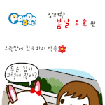 [판<b>다독</b>] 상쾌한 봄날 오후