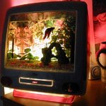 수족관으로 개조한 <b>매킨토시</b>