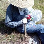 사과 깎을<b>때</b> 이<b>정도</b>는 해줘야 하는거다...