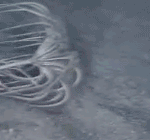 깊은 바다 속을 조깅하는ㅋ 꽃?!