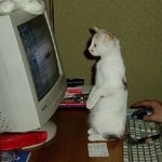 <b>우왕</b>! 신기하다! 이거 뭐예요??!