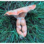 티팬티 입은 <b>민망</b>한 뒷태