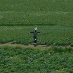 코스프레 제대로 본적이나 있소?