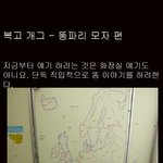 똥파리 모자편 <b>from</b>:angel-x