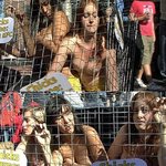 "<b>kfc</b>여~ 닭을 학대하지마!" 누드 퍼포먼스 벌인 여성들