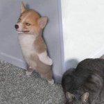 넌 잡히면 <b>내손</b>에 끝인거다!!!