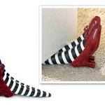 악! <b>문틈</b>에 발 끼었어!ㅠ