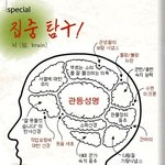 군대 <b>계급</b>별 뇌구조