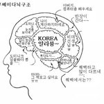 미녀들의 <b>수다</b>, 그녀들의 뇌구조 분석