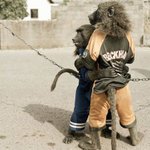 <b>루니</b>야! 걱정 마!