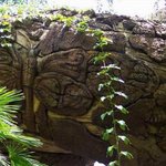 디즈니 동물 왕국의 '생명의 나무'