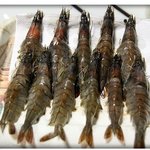 <b>새우</b> 치즈구이, 보기만해도 군침이 좔좔~