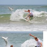 위험천만한 <b>서핑</b>!; 상어가 바로 뒤에 있어요ㄷㄷ