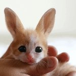 어쩔꺼야 너무 귀엽잖아..ㅠㅠ