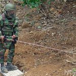 명파리에서 작업하는 평화의 사도