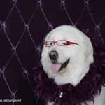 <b>상근</b>이 홈피에서 발견한 최근 프로필 사진과 라디오 출연 직찍