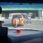 마티즈는 지금 훈제하는 중