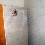 <b>진작</b>에 청소 좀 할껄..
