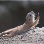죽기 1<b>초전</b>