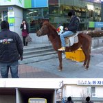 이 놈에 기름<b>값</b>이 뭔지.. 이젠 말타고 배달합니다