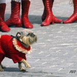 모두 <b>정렬</b>!!! 왕자님이 나오신다!!