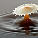 커피와 <b>우유</b>가 만나는 그 순간!!