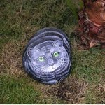 돌에 그려진 <b>동물그림</b>, 특이하네~