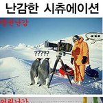 이것이 <b>난감</b>한 상황인거다