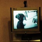솔로 앨범 준비하는 <b>오종혁</b>