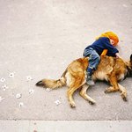 아이들의 꿈을 찍는 작가 얀 폴 <b>홀러</b>벤