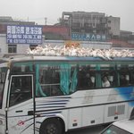 <b>오리</b> 버스!!