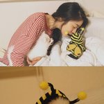 '하이킥' 유간<b>호사</b> 정선우, 꿀벌강아지와 뽀뽀!