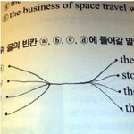 <b>정답</b>률 100%