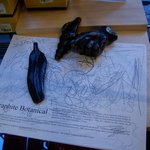 <b>mma</b> (metro museum of art) 에서 만난 신기한...