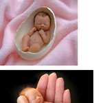 헐 아기초<b>코렛</b> 진짜 아기가 아니라니~~